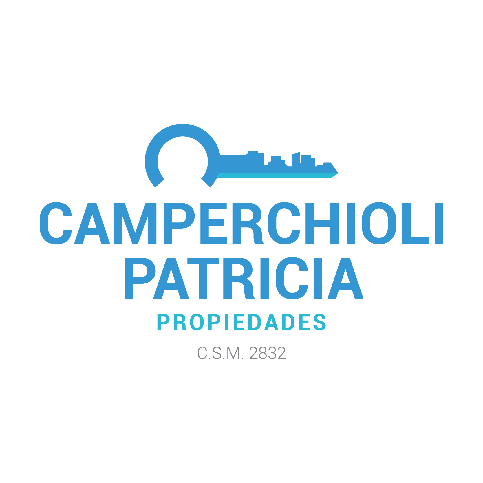 CAMPERCHIOLI PATRICIA PROPIEDADES